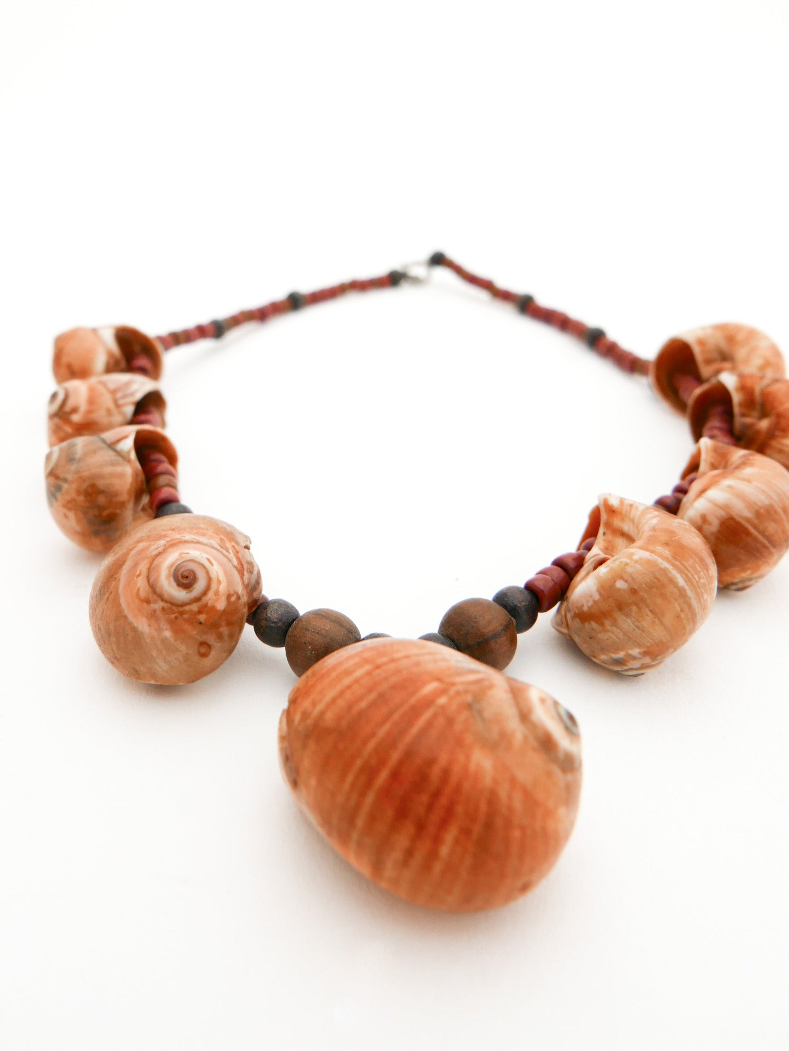 Mollusk Shell Necklace