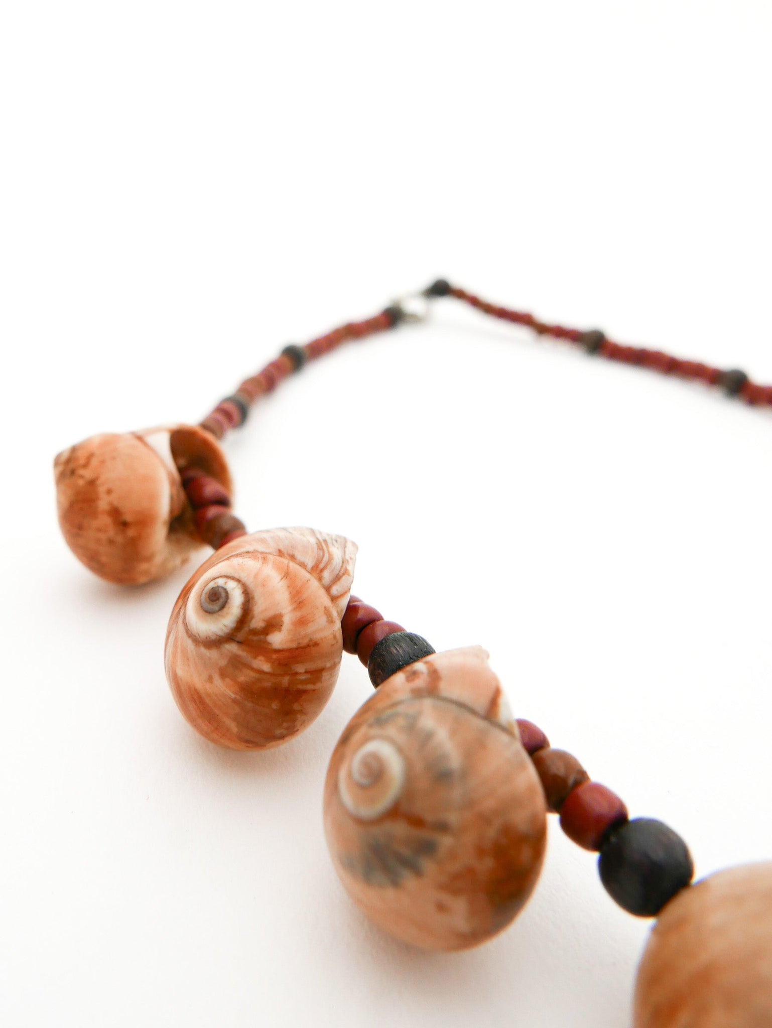 Mollusk Shell Necklace