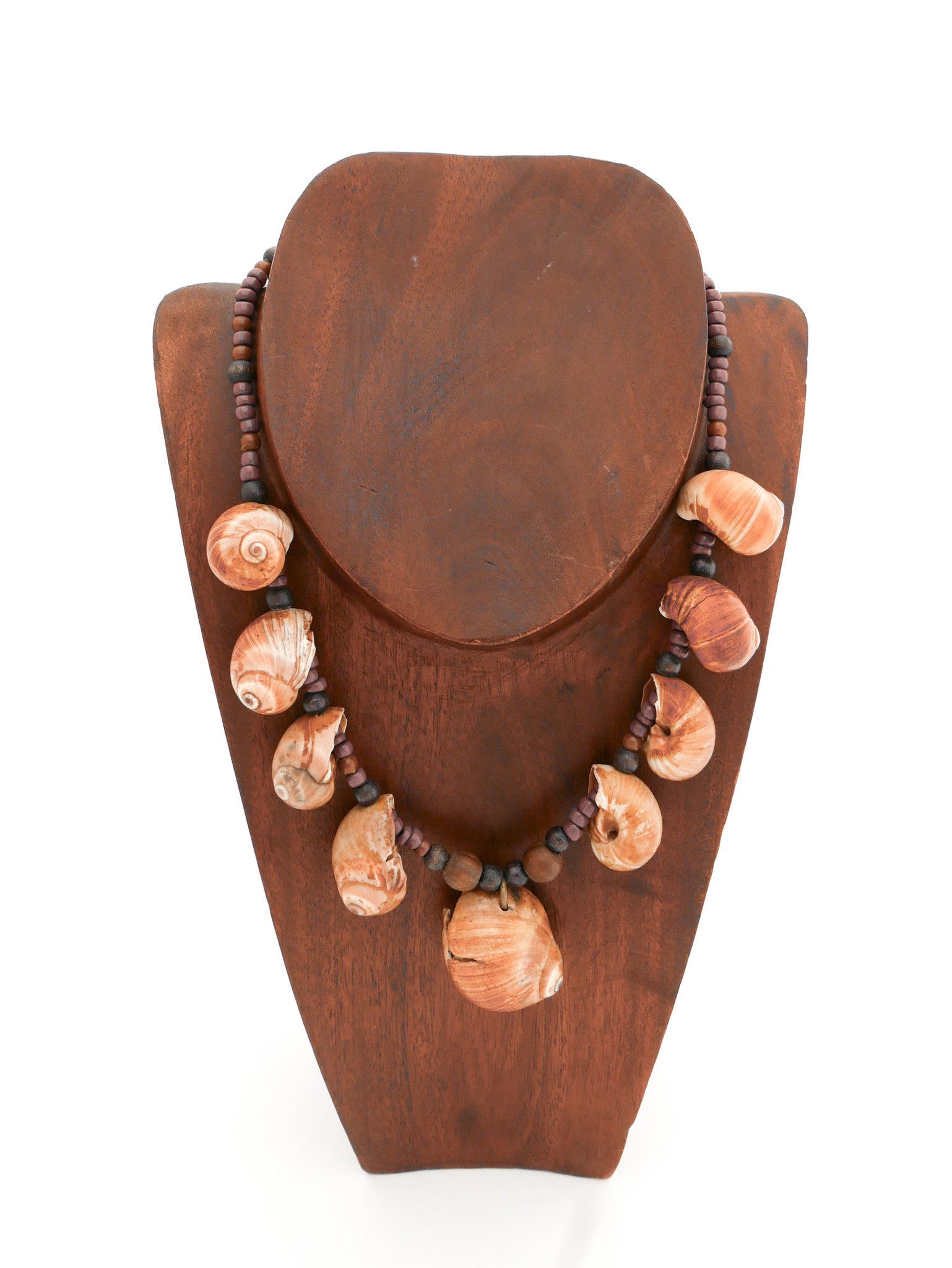 Mollusk Shell Necklace